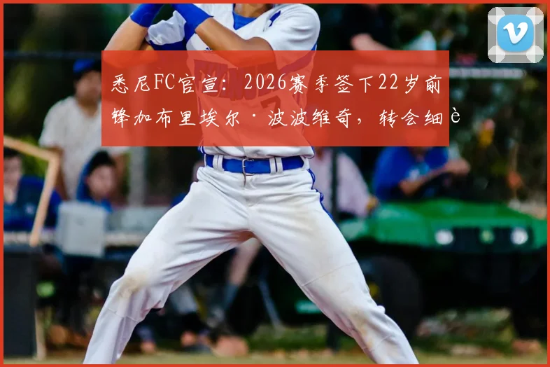 悉尼FC官宣：2026赛季签下22岁前锋加布里埃尔·波波维奇，转会细节及球员技术特点全解析