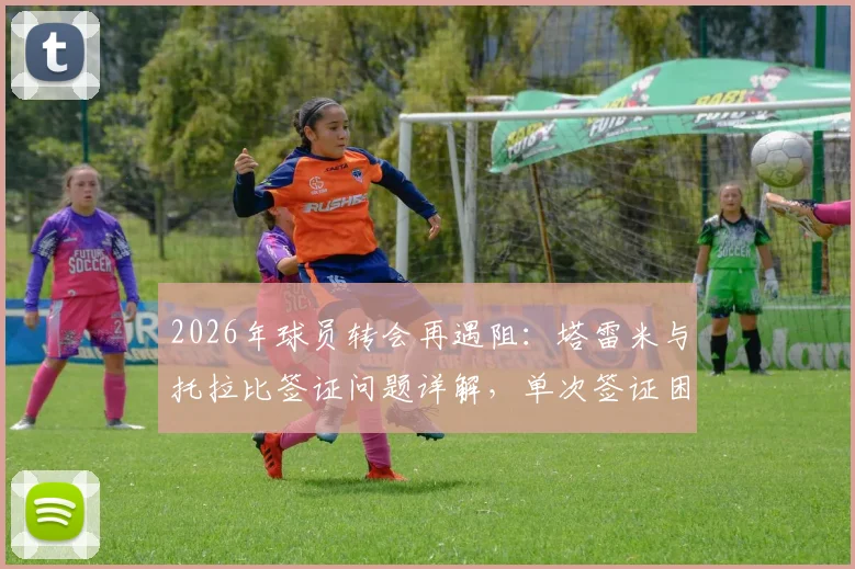 2026年球员转会再遇阻:塔雷米与托拉比签证问题详解,单次签证困境如何破局