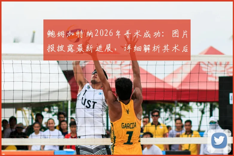 鲍姆加特纳2026年手术成功：图片报披露最新进展，详细解析其术后康复训练流程与时间表