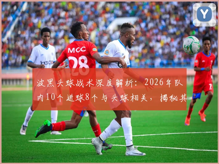 波黑头球战术深度解析：2026年队内10个进球8个与头球相关，揭秘其高空优势与训练方法